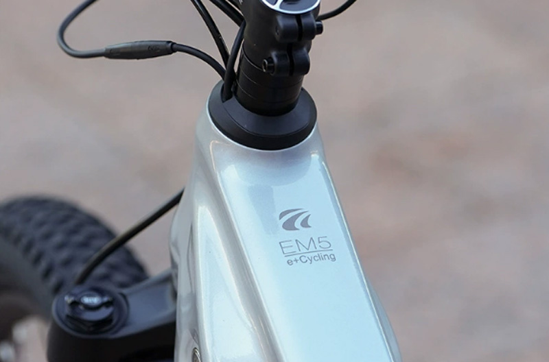 Quadro de E-Bike em Liga de Al - Mountain Biking In The Uk avaliação e preço